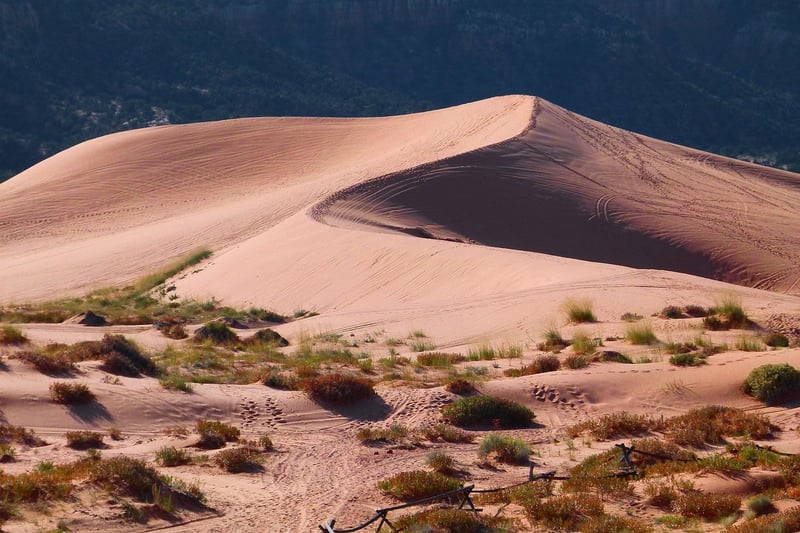 Desert Exploration